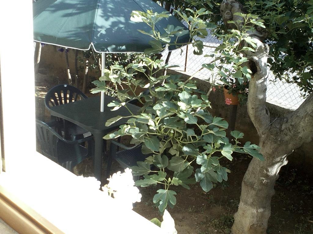 B&B A Casa Di Nonna 丰迪 外观 照片